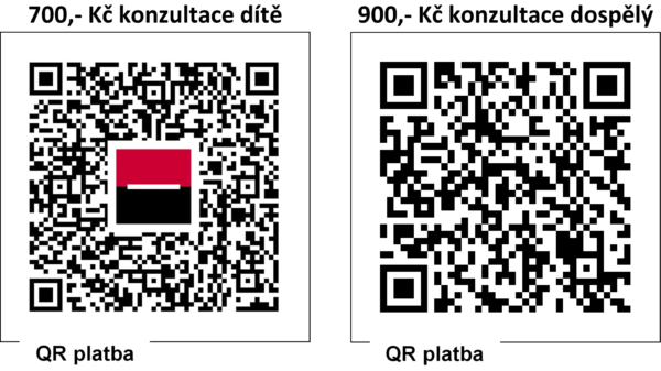QRplatba_deti_a_dospeli2 QRplatba_deti_a_dospeli2