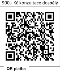 QRplatba_dospeli QRplatba_dospeli